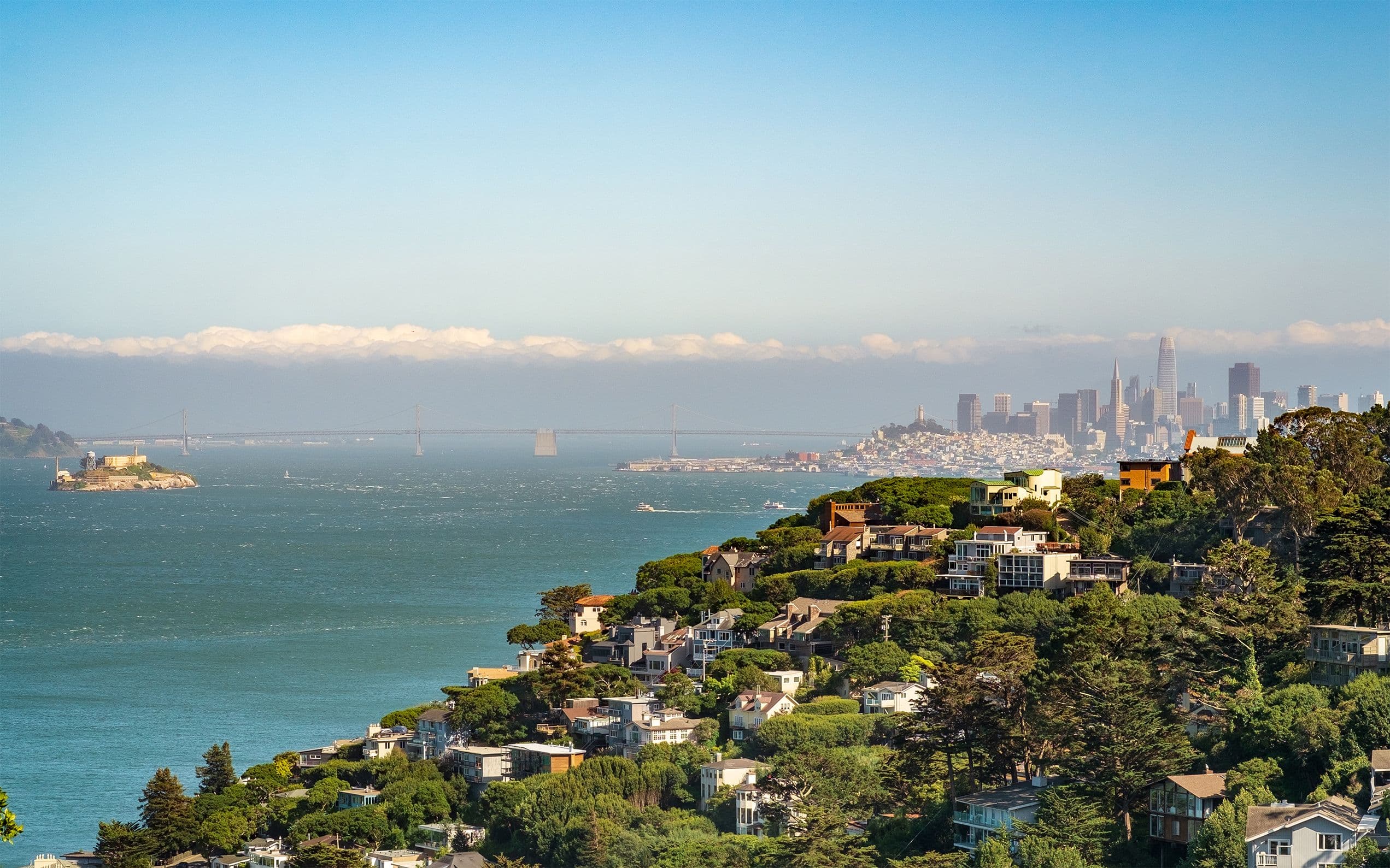 A protected hillside view over Sausalito and the bay