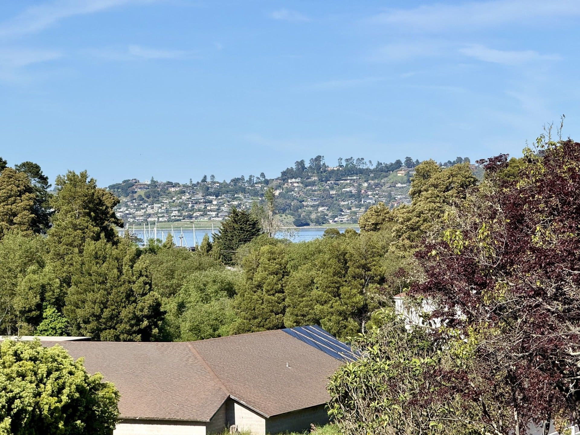 View over Corporation Yard