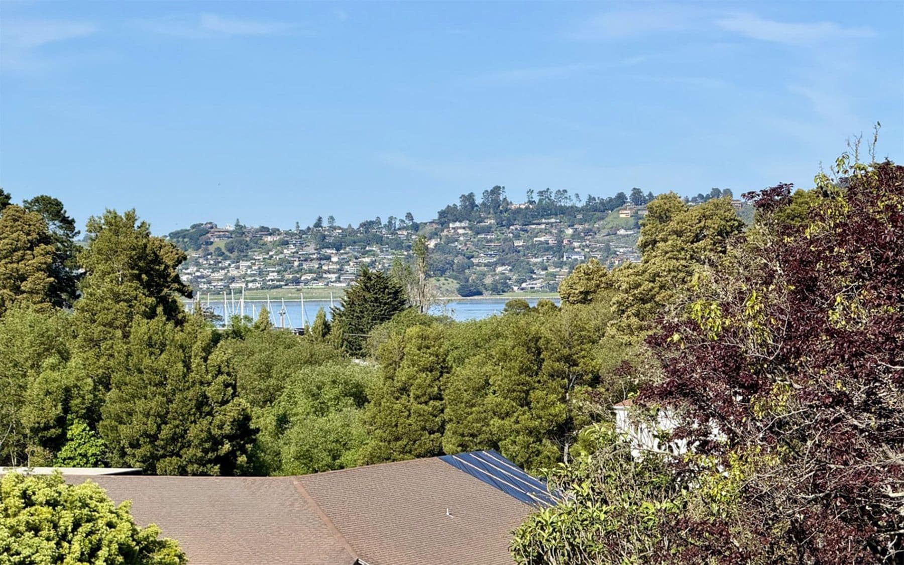 The view across the Sausalito corporation yard site