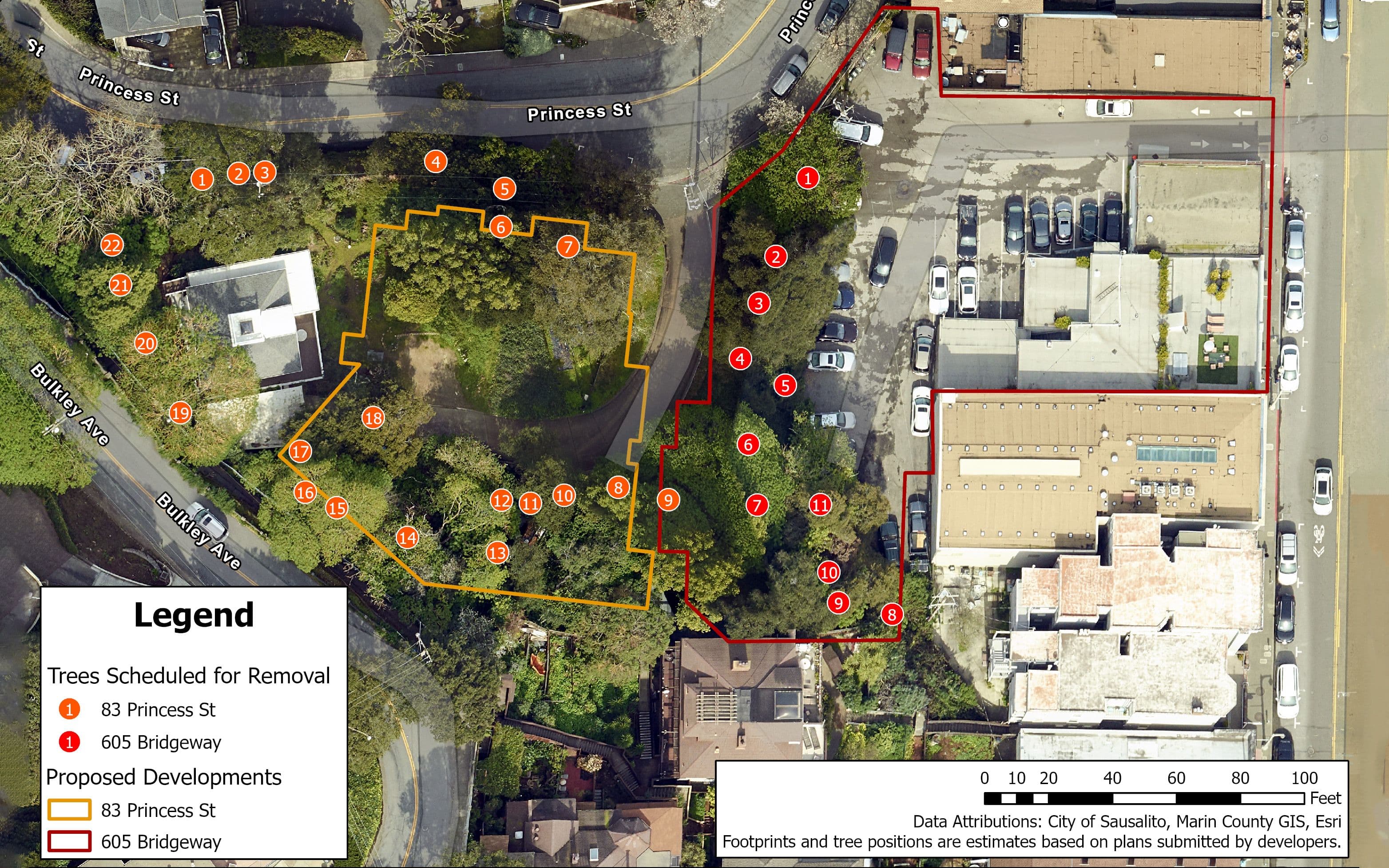 Princess Grove trees marked for removal
